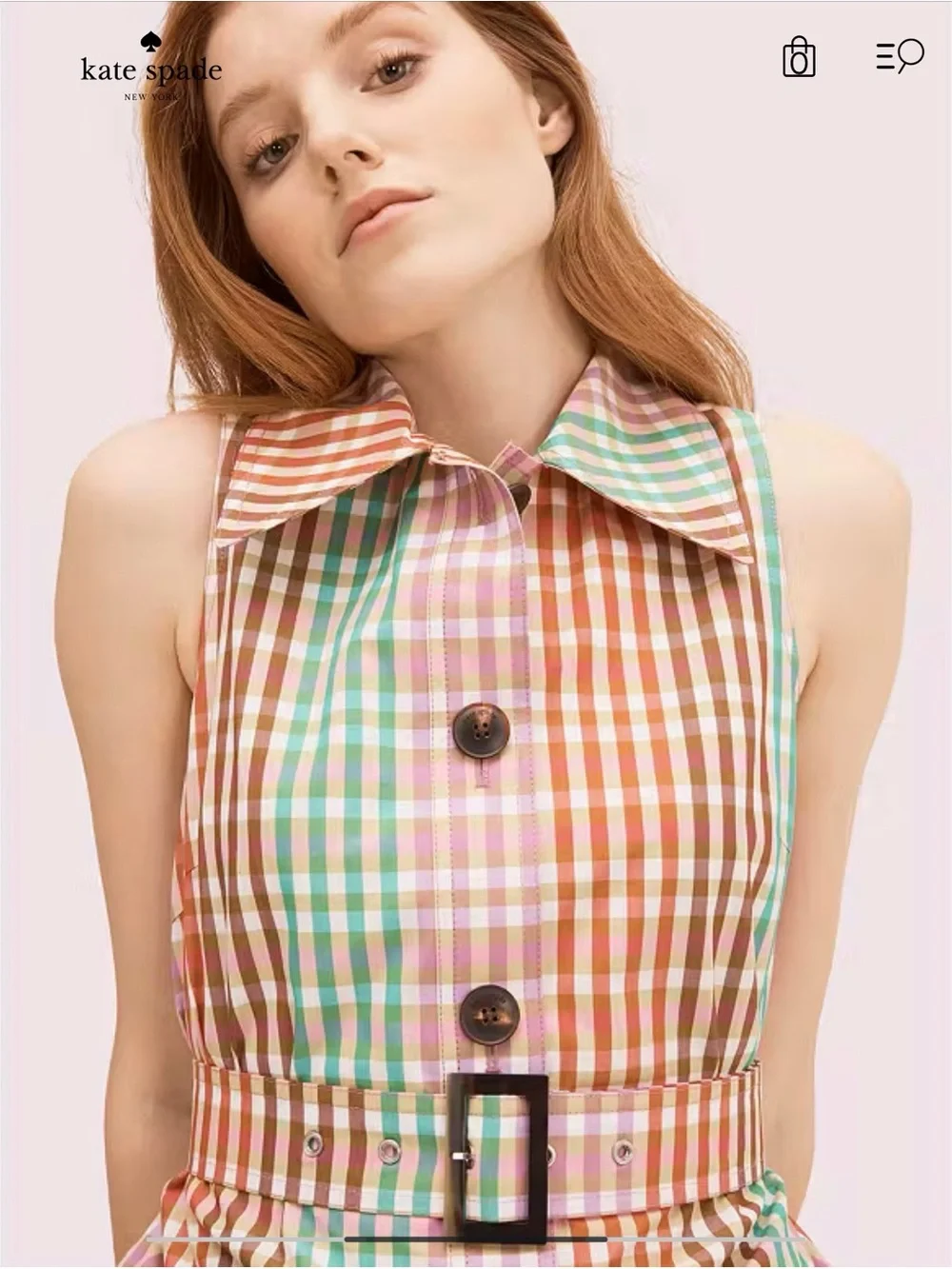 kate spade Rainbow Plaid Sleeveless Shirtdress Midi